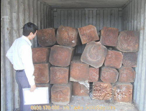 Gỗ nguyên liệu từ Campuchia được tự do nhập khẩu 