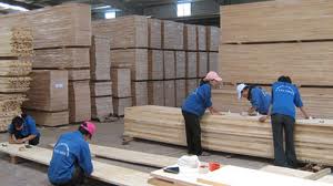 Tăng cường kiểm tra doanh nghiệp, cơ sở chế biến gỗ,