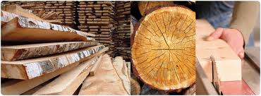 gỗ nguyên liệu nhập khẩu 