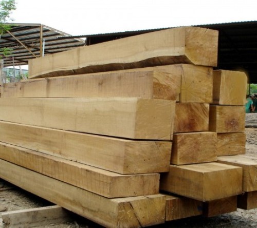 Cam Xe (Pyinkado) Lumber
