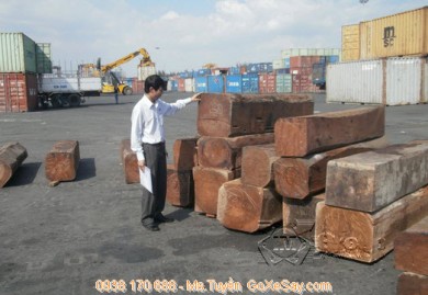 Gỗ nguyên liệu từ Campuchia được tự do nhập khẩu